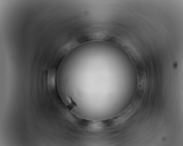 X0000103140334200808291345