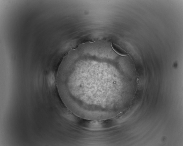 X0000103140335200808291345