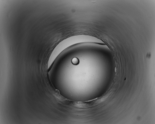 X0000103140336200808291345