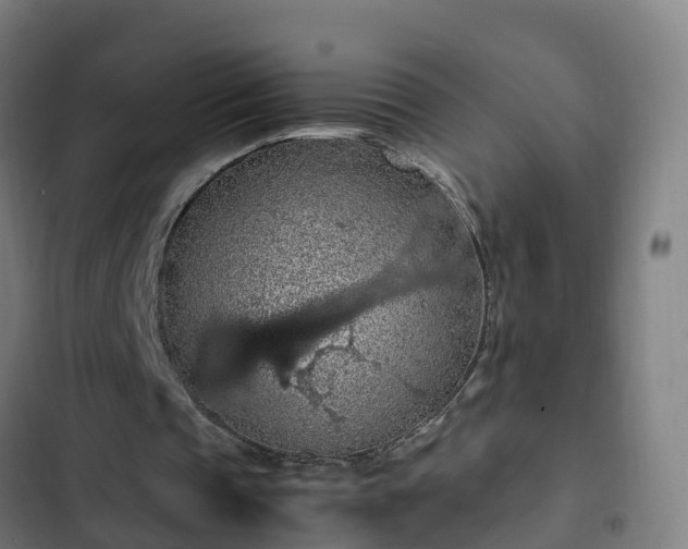 X0000103140337200808291344