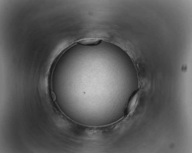 X0000103140340200808291344