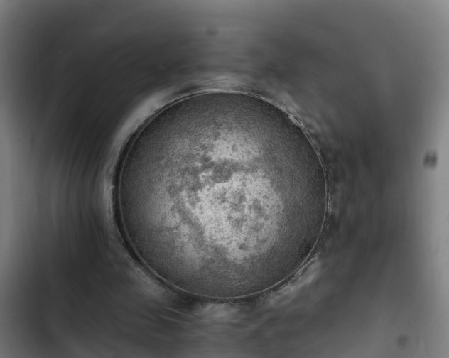 X0000103140341200808291344