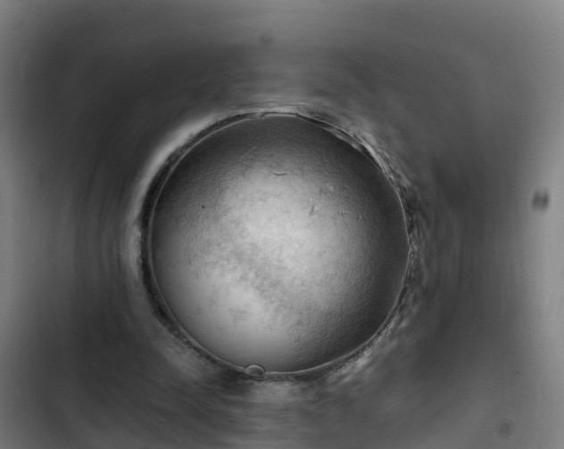 X0000103140342200808291344