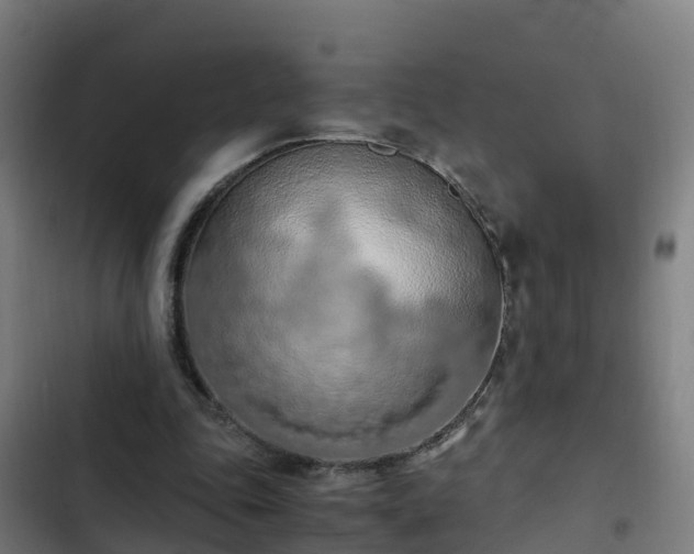 X0000103140343200808291344