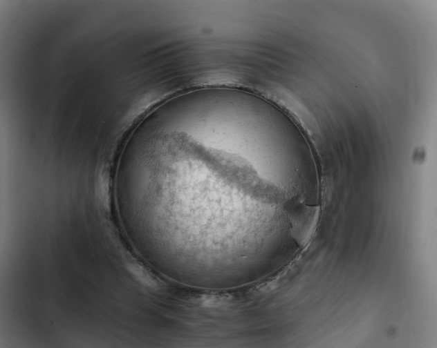 X0000103140345200808291344