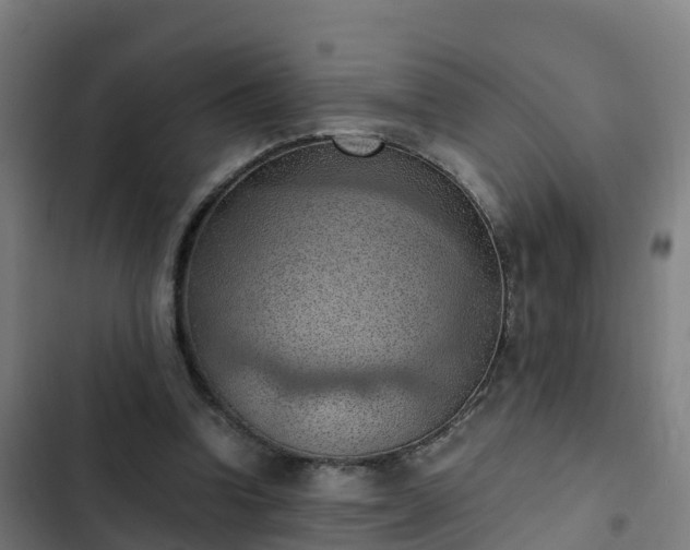 X0000103140346200808291344