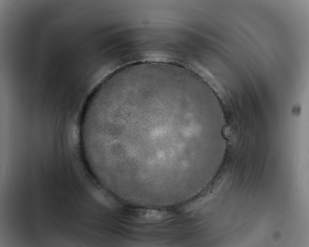 X0000103140347200808291344