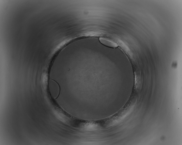 X0000103140348200808291344