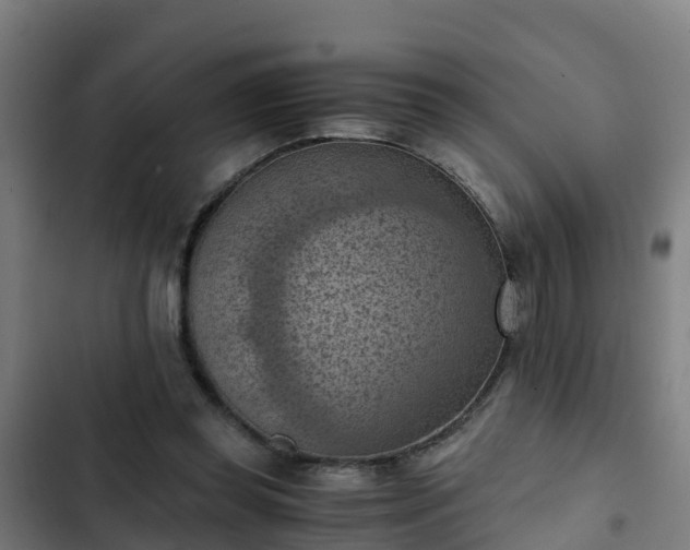 X0000103140349200808291344