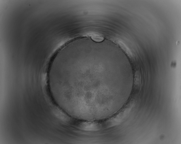 X0000103140351200808291344