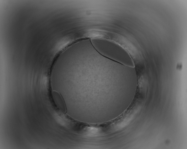 X0000103140352200808291344