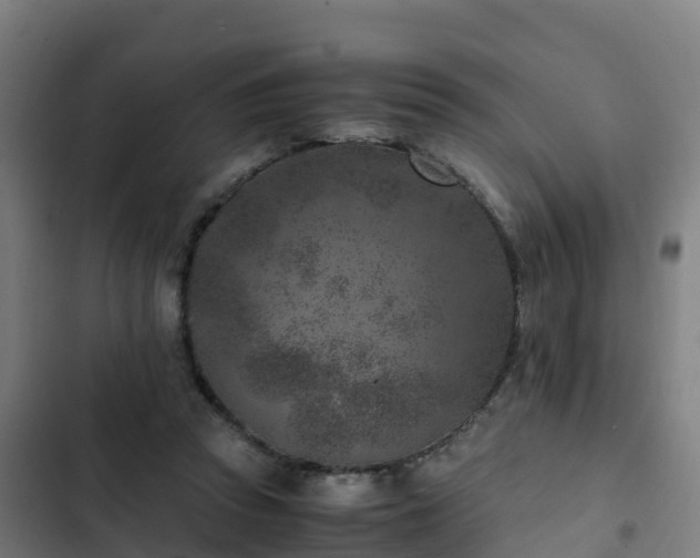 X0000103140353200808291344