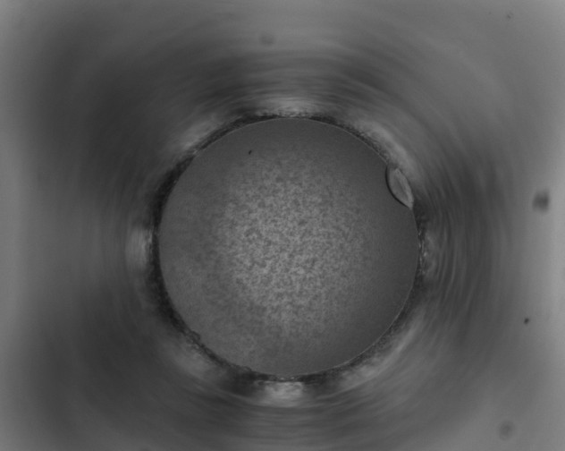 X0000103140355200808291344