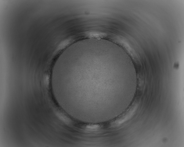 X0000103140357200808291344