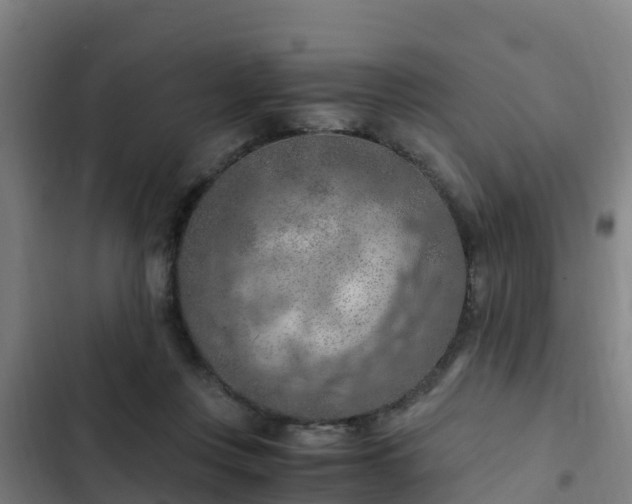 X0000103140359200808291344