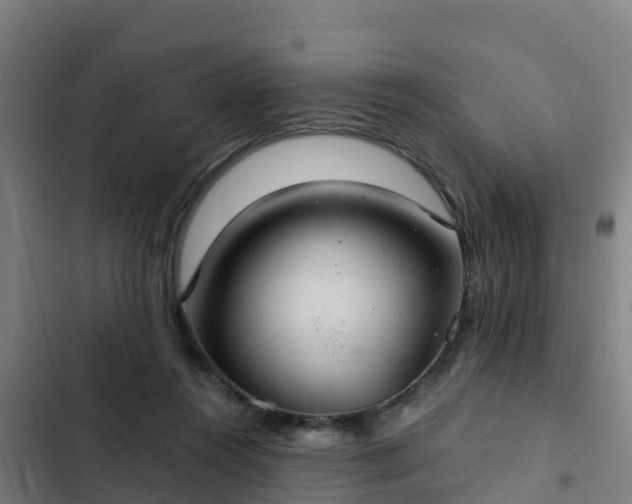 X0000103140360200808291344