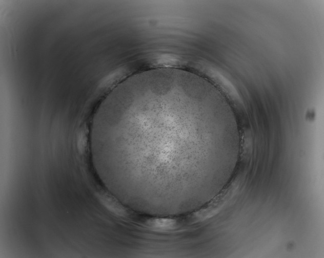 X0000103140361200808291344