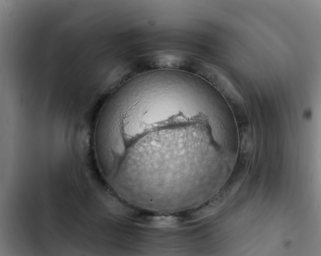 X0000103140363200808291345