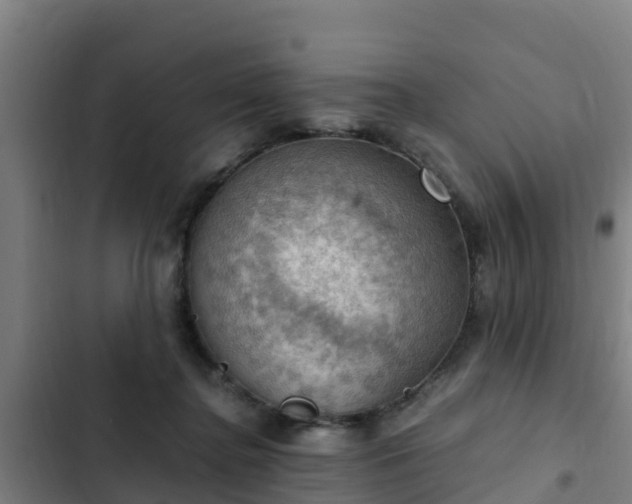 X0000103140364200808291345