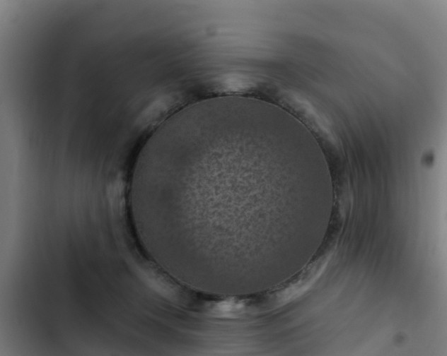 X0000103140366200808291345