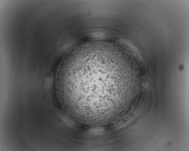 X0000103140369200808291345