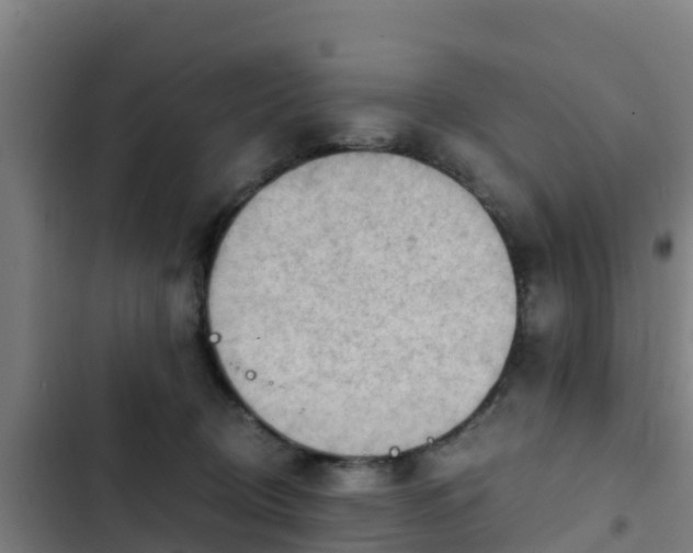 X0000103140370200808291345