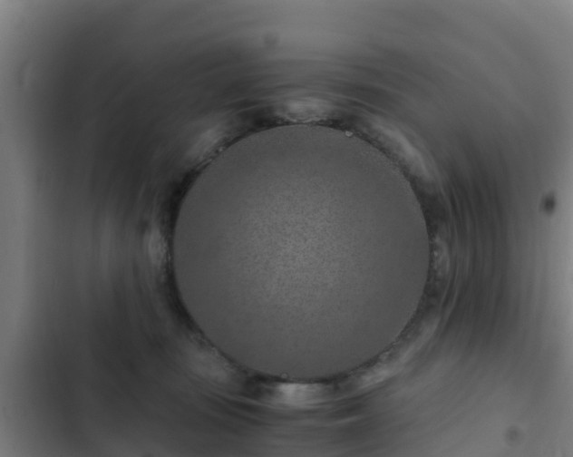 X0000103140371200808291345