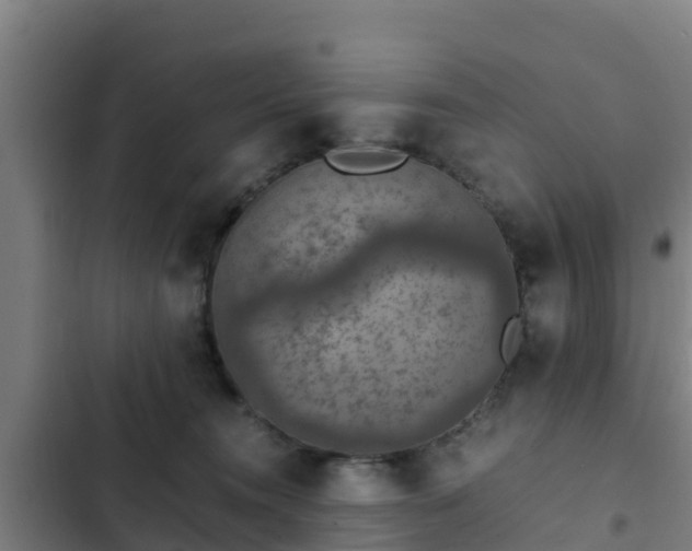 X0000103140372200808291345