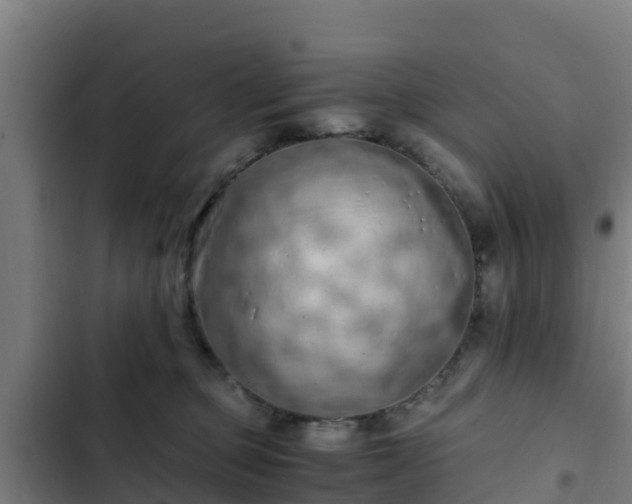 X0000103140373200808291345