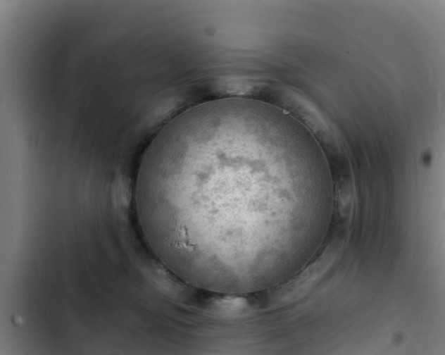 X0000103140374200808291345