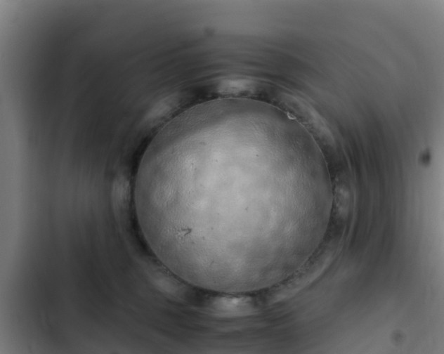 X0000103140375200808291345