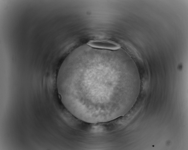 X0000103140376200808291345