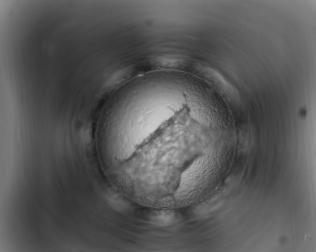 X0000103140377200808291345