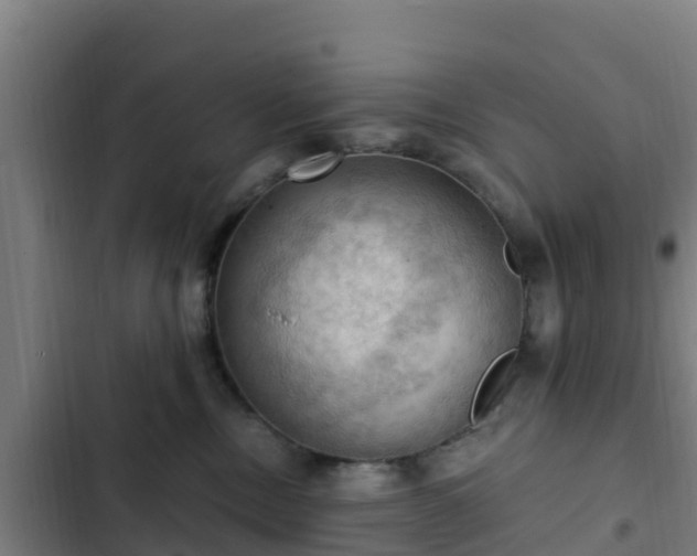 X0000103140378200808291345