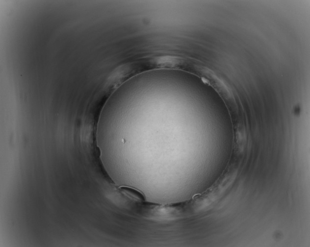 X0000103140379200808291345