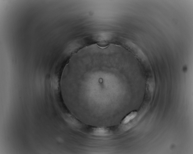 X0000103140380200808291345