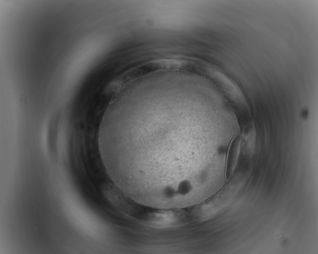 X0000103140381200808291345