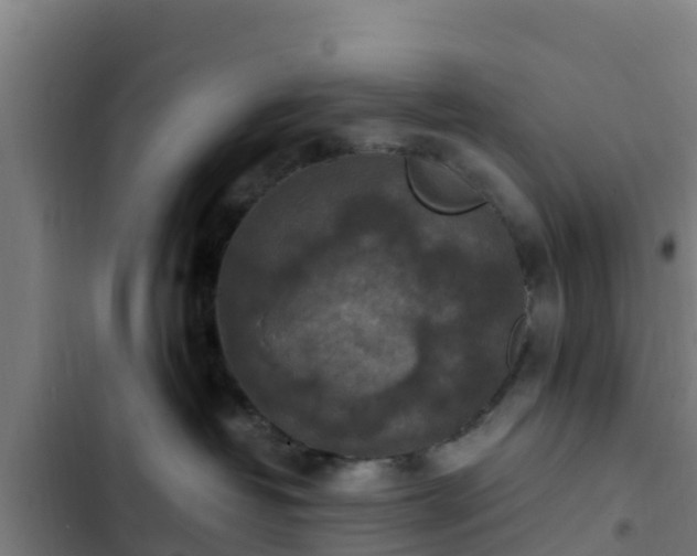 X0000103140382200808291345