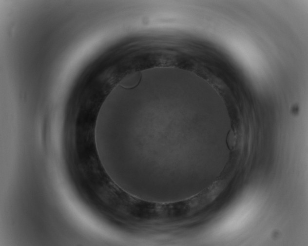 X0000103140383200808291345