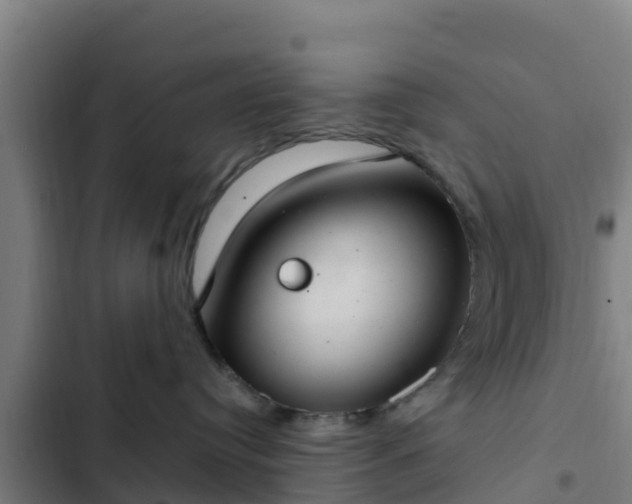 X0000103140384200808291345