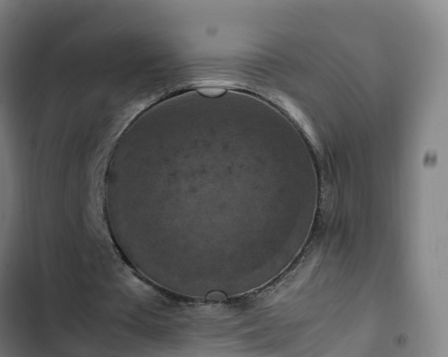 X0000103140385200808291344