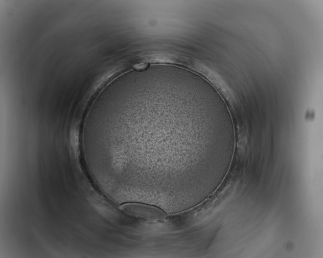 X0000103140386200808291344