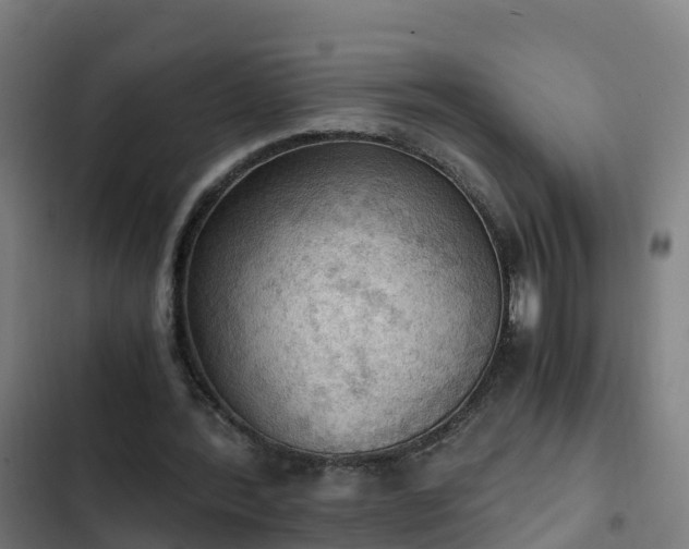 X0000103140388200808291344