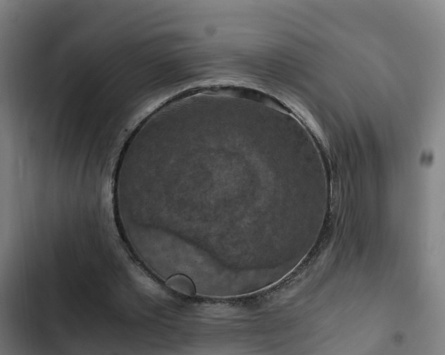 X0000103140389200808291344