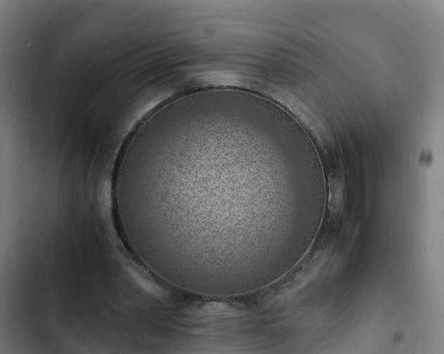 X0000103140390200808291344