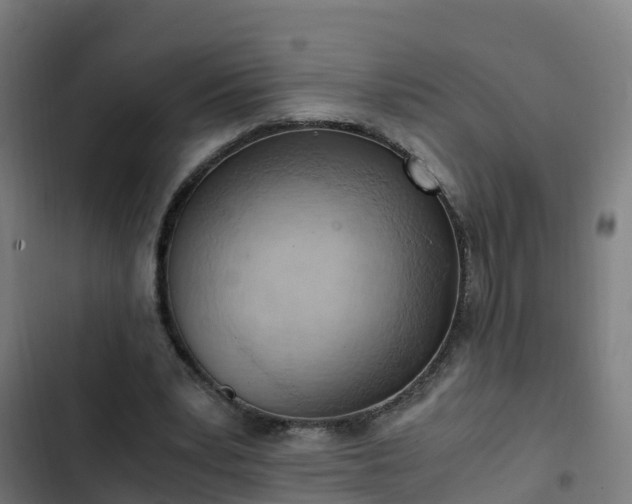 X0000103140391200808291344