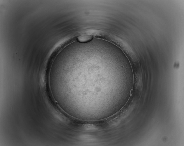 X0000103140392200808291344