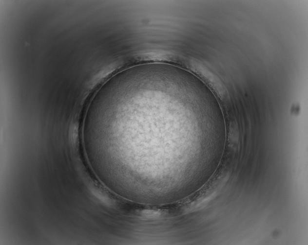 X0000103140394200808291344