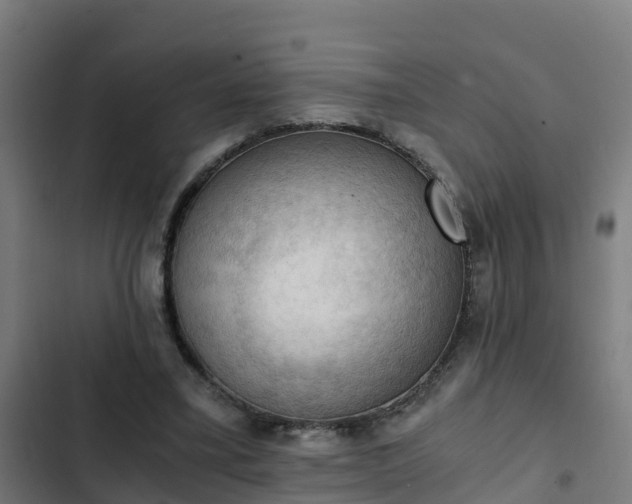 X0000103140395200808291344