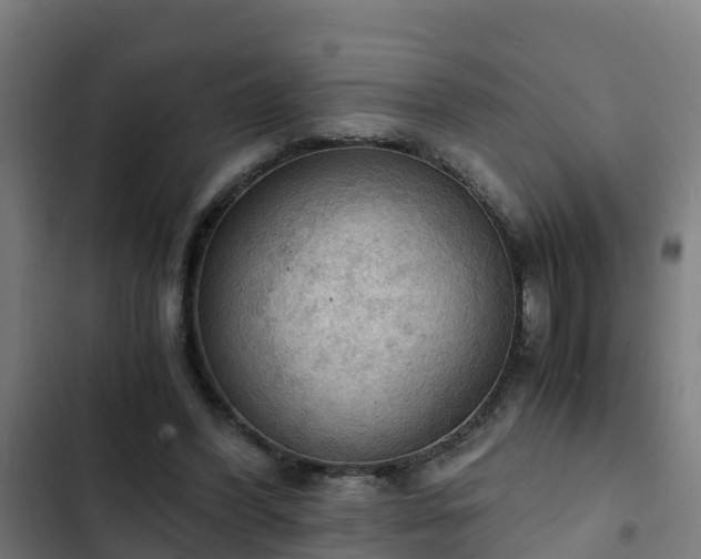 X0000103140396200808291344